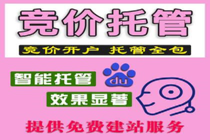 百度推广的ROI优化：成功企业案例解析
